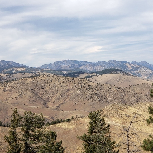 Meet your Posher, LaTricia - Picture 7 of 16